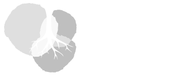 institutoterroa