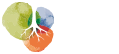 institutoterroa