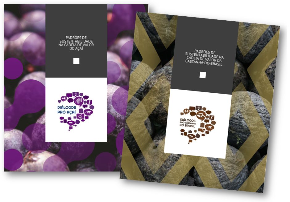 Padrões de Sustentabilidade nas cadeias do açaí e da castanha-do-brasil ganham novos estudos