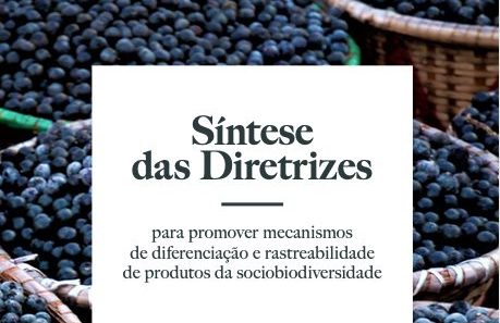 Lançada publicação com diretrizes que promovem a diferenciação e a rastreabilidade de produtos da sociobiodiversidade