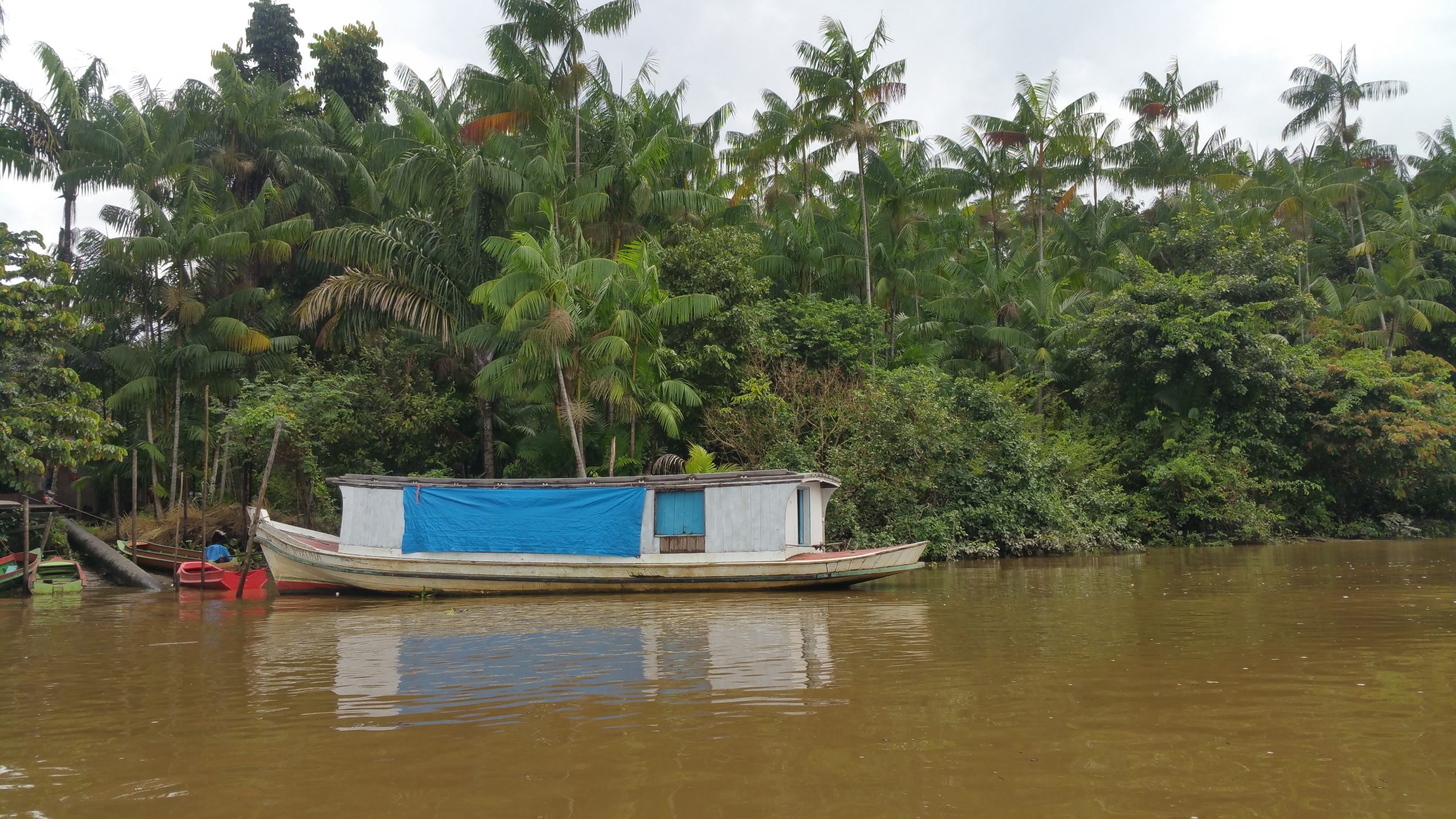 Diálogos Pró-Açaí dá contribuições para a criação da Zona de Desenvolvimento Sustentável entre os estados do Amazonas, Acre e Rondônia – AMACRO