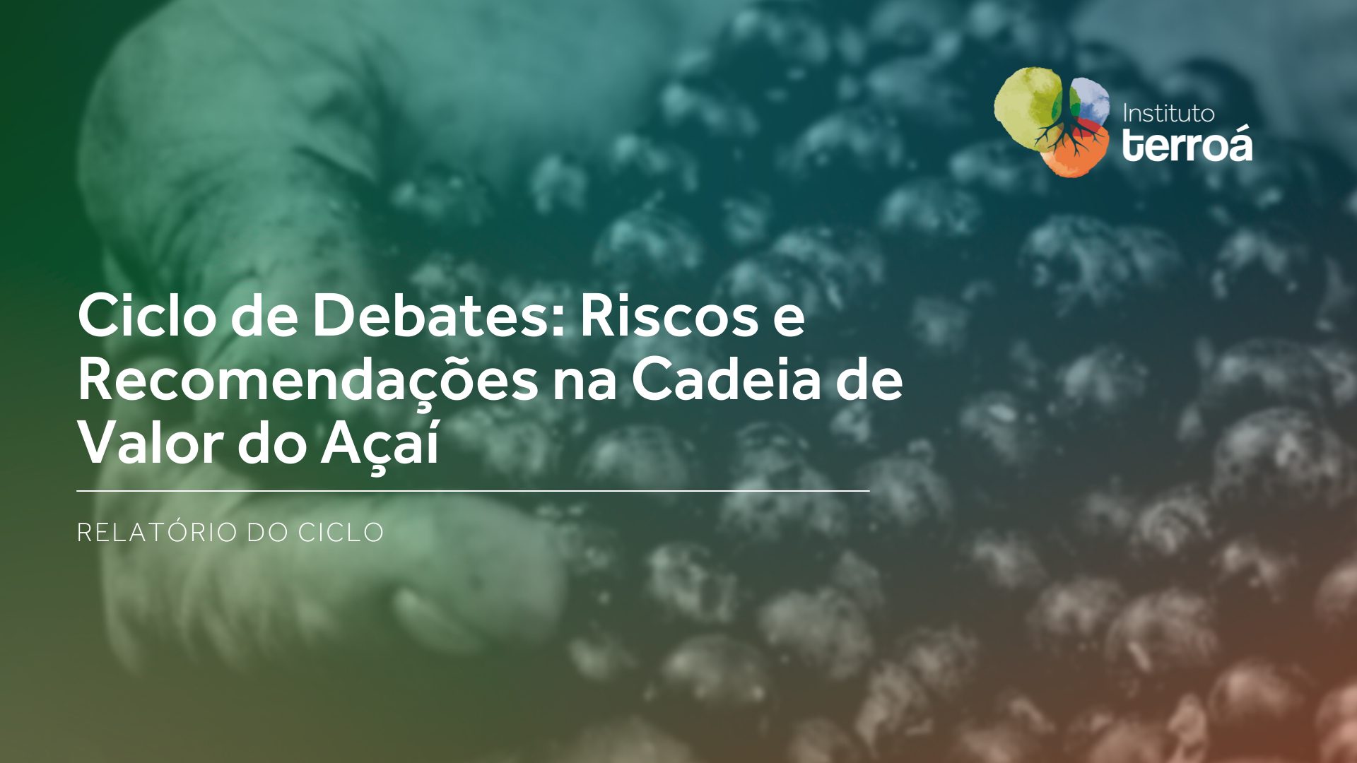 Relatório aponta riscos e desafios para o desenvolvimento sustentável da cadeia do açaí