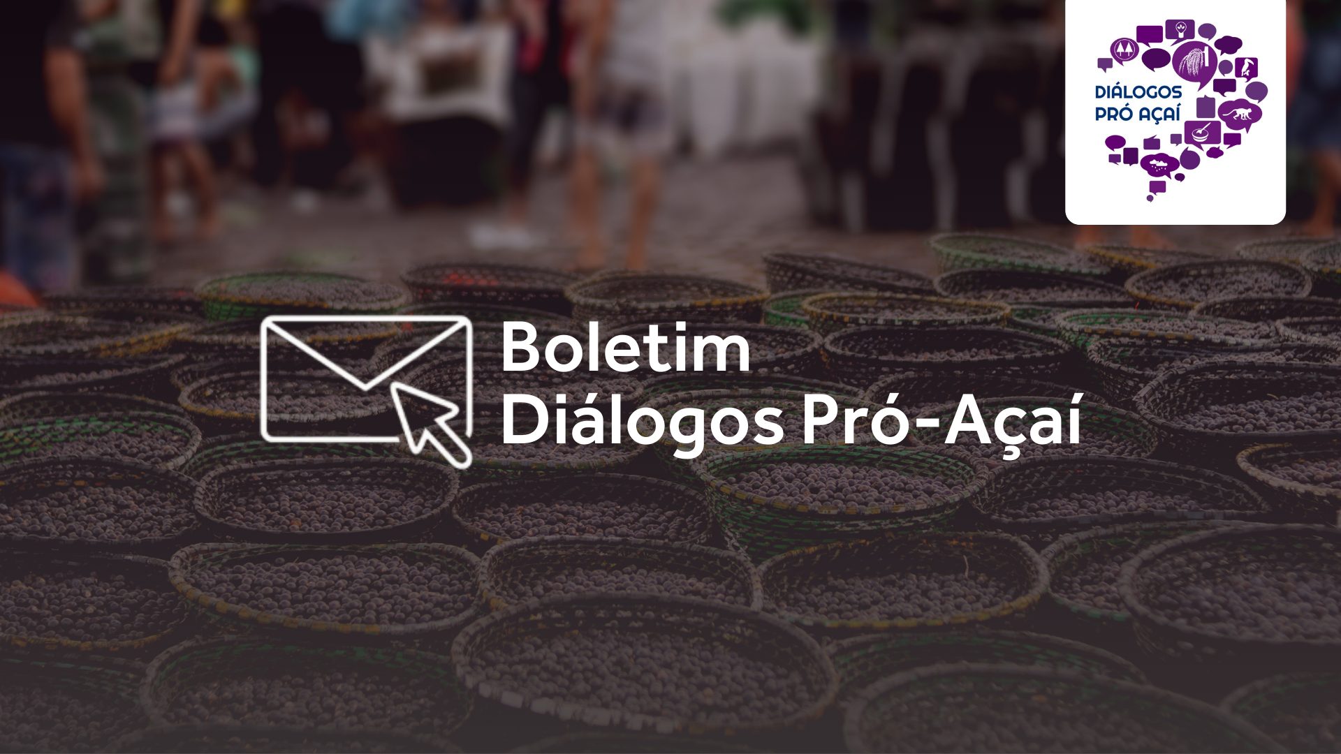 Boletim Diálogos Pró-Açaí conversa com Fabrício Santos, coordenador-geral de Extrativismo Substituto do Ministério da Agricultura, Pecuária e Abastecimento (MAPA)