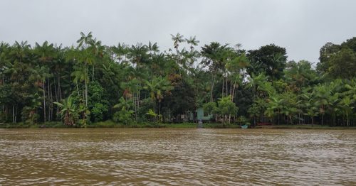 Cooperativa Amazonbai conquista certificação orgânica e dá passo importante para o desenvolvimento do território