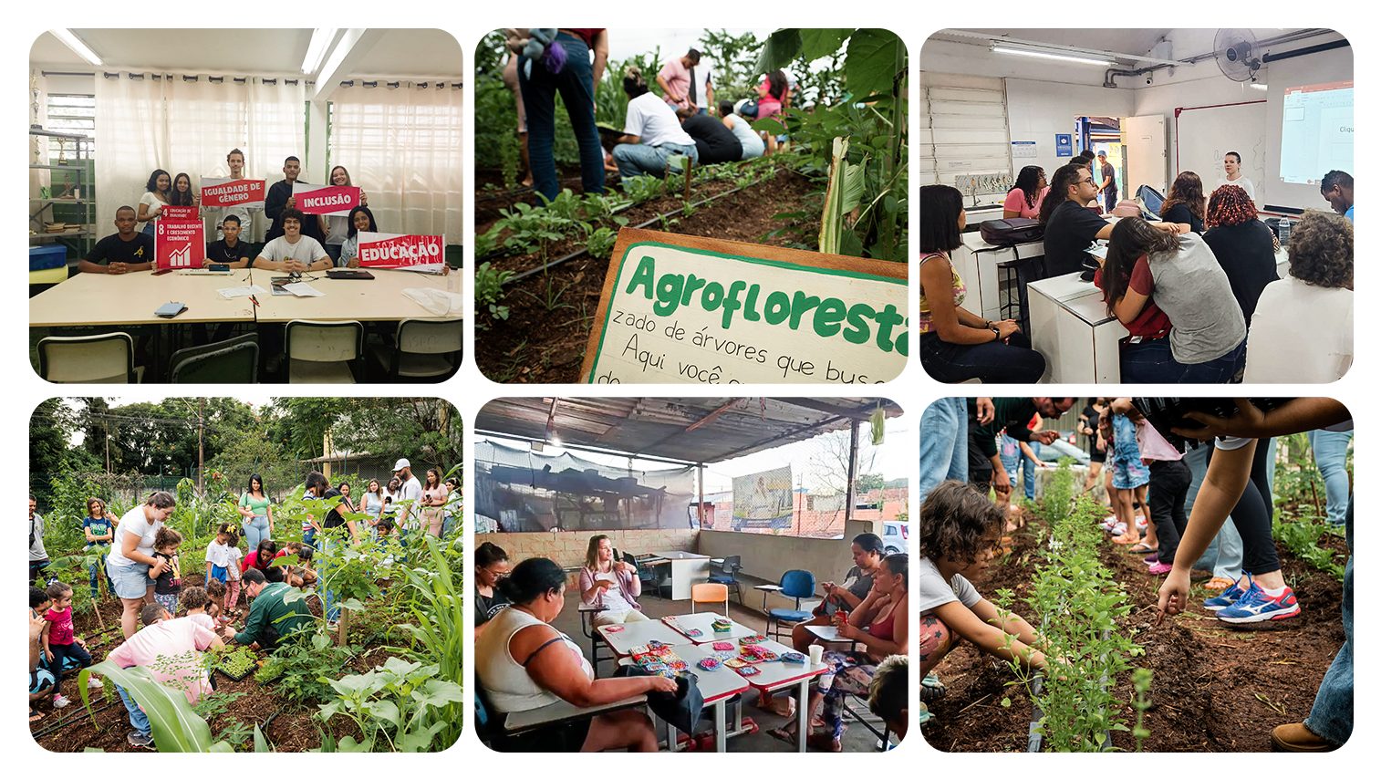 Ações do Terroá na região norte de Ribeirão Preto (SP) seguem em sinergia com os 3 eixos norteadores do projeto: educação ambiental, mobilização comunitária e geração de renda