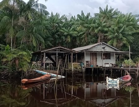 Engajamento de jovens no território da RESEX Marinha da Baía do Iguape: educação, projeto de vida e fortalecimento organizacional