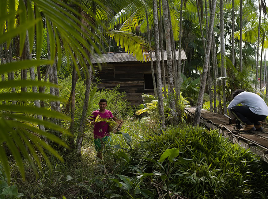 Educação na Floresta